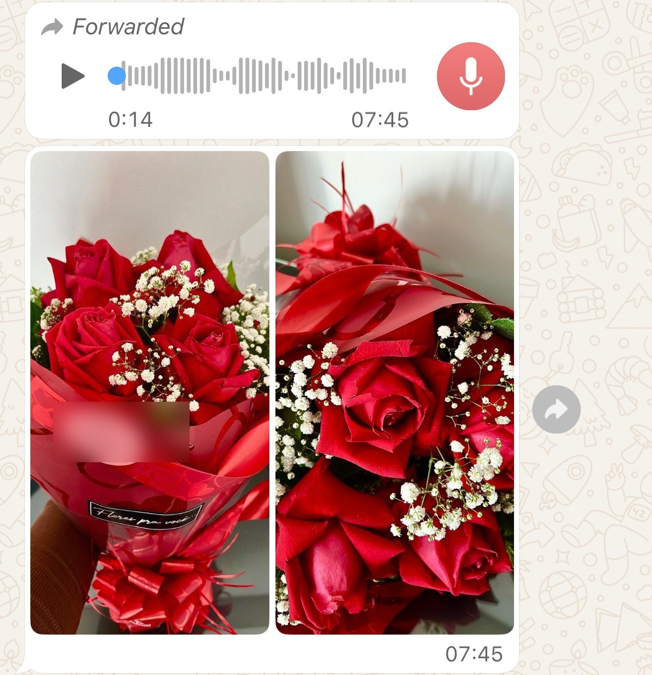Relato anônimo com áudio e fotografias de flores recebidas durante a reconquista